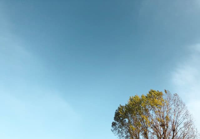 Waarom een CO2-meter essentieel is voor jouw gezondheid